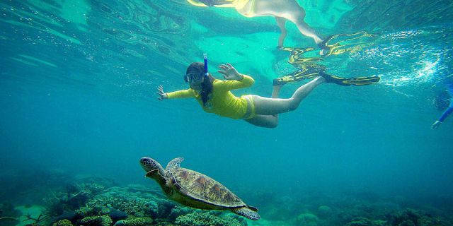 Snorkel with turtles 2 hour private boat trip in the north (7)